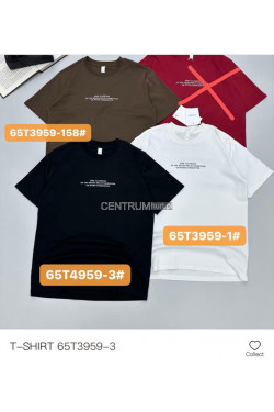 Koszulka męska (M-2XL) T3959-3