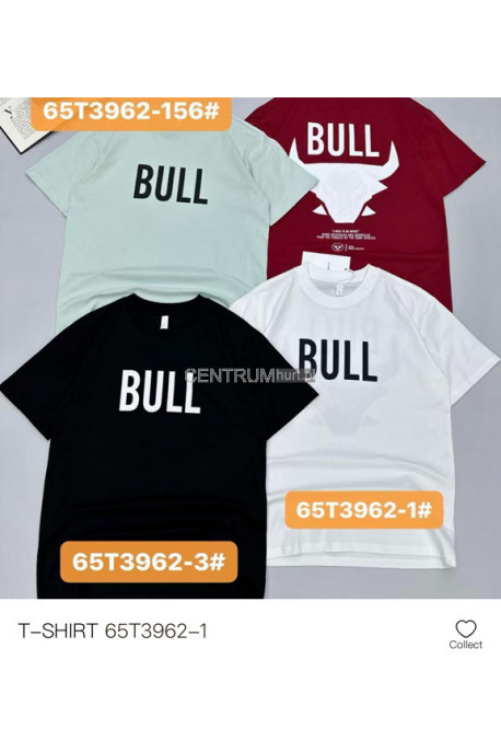 Koszulka męska (M-2XL) 1