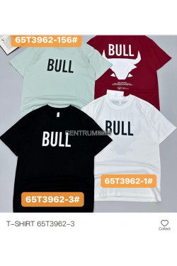 Koszulka męska (M-2XL) T3962-3