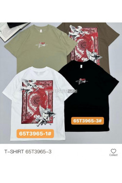 Koszulka męska (M-2XL) T3965-3