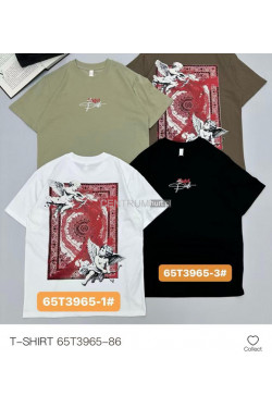 Koszulka męska (M-2XL) T3965-86