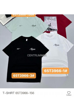 Koszulka męska (M-2XL) T3966-156