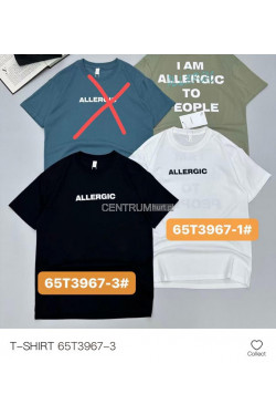 Koszulka męska (M-2XL) T3967-3