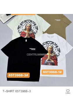 Koszulka męska (M-2XL) T3968-3