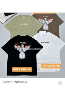 Koszulka męska (M-2XL) T3969-1