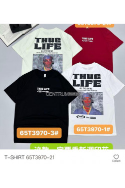 Koszulka męska (M-2XL) T3970-21