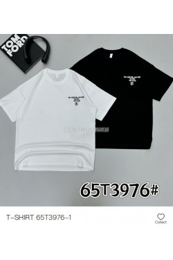 Koszulka męska (M-2XL) T3976-1white