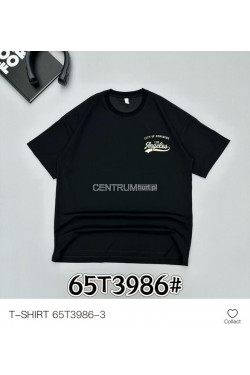 Koszulka męska (M-2XL) T3986-3black