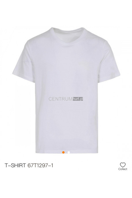 Koszulka męska (M-2XL) 1