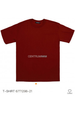 Koszulka męska (M-2XL) T1298-21