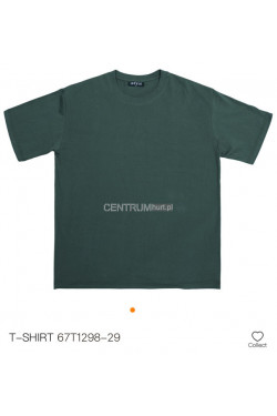 Koszulka męska (M-2XL) T1298-29