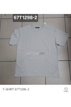 Koszulka męska (M-2XL) T1298-2