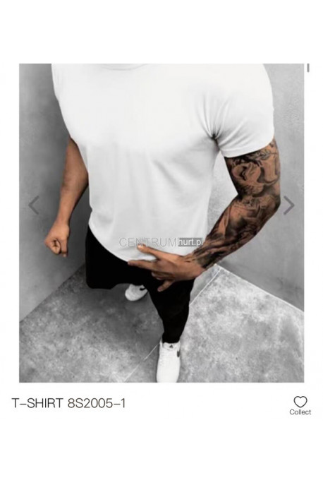 Koszulka męska (M-2XL) 1