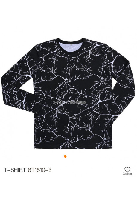 Koszulka męska (M-2XL) 1