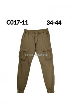 Spodnie męskie (34-44) C017-11