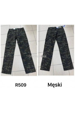 Spodnie męskie (33-42) R509