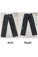 Spodnie męskie (33-42) R508