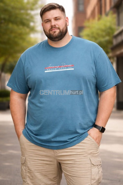 Koszulka męska (3XL-6XL) 7041