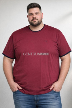 Koszulka męska (3XL-6XL) 7047