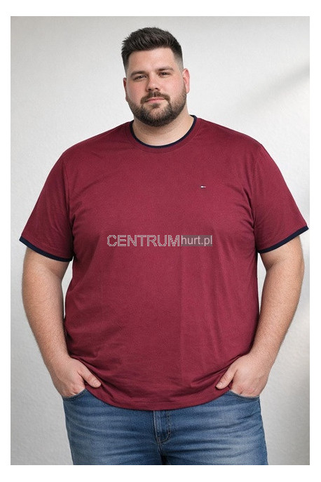 Koszulka męska (3XL-6XL) 70