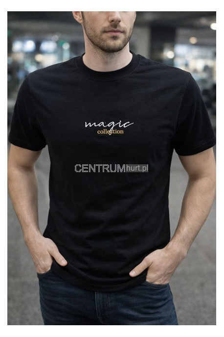 Koszulka męska (3XL-6XL) 70