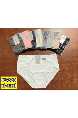 Majtki damskie (XL-3XL) 2223