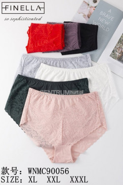 Majtki damskie (XL-3XL) 90056