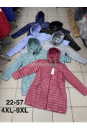 Kurtki damskie przejściowe (2XL-7XL) 1