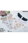 Majtki damskie (XL-3XL) 1