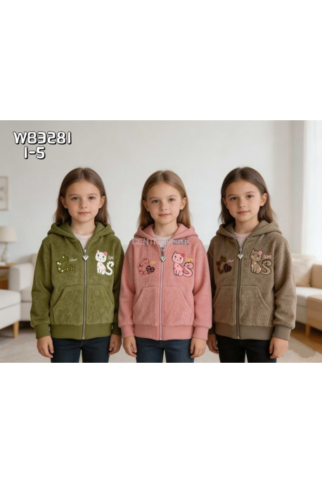 Bluza dziewczęca (1-5) 1