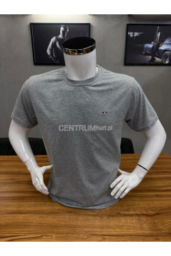Koszulka męska (L-3XL) 9853