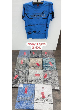 Koszulka męska (3XL-6XL) 9856