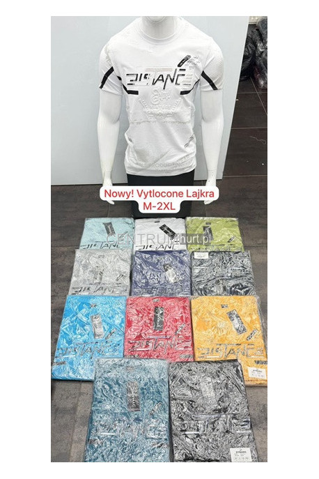Koszulka męska (M-2XL) 98