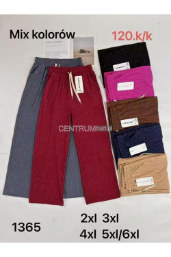 Spodnie damskie (2XL-6XL) 1365