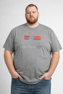 Koszulka męska Turecka (3XL-6XL) 1275
