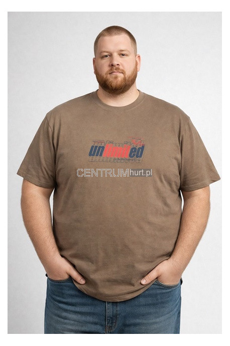 Koszulka męska Turecka (3XL-6XL) 12