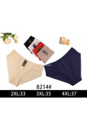 Majtki damskie (2XL-4XL) 1