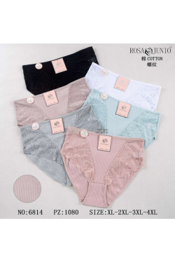 Majtki damskie (XL-4XL) 6814