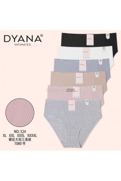 Majtki damskie (XL-4XL) 524