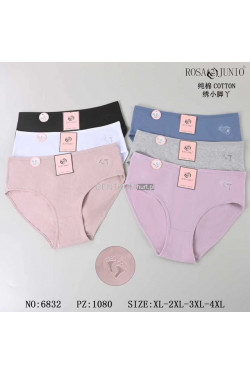 Majtki damskie (XL-4XL) 6832