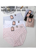 Majtki damskie (XL-3XL) 1