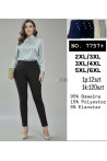 Spodnie damskie (2XL-6XL) 1
