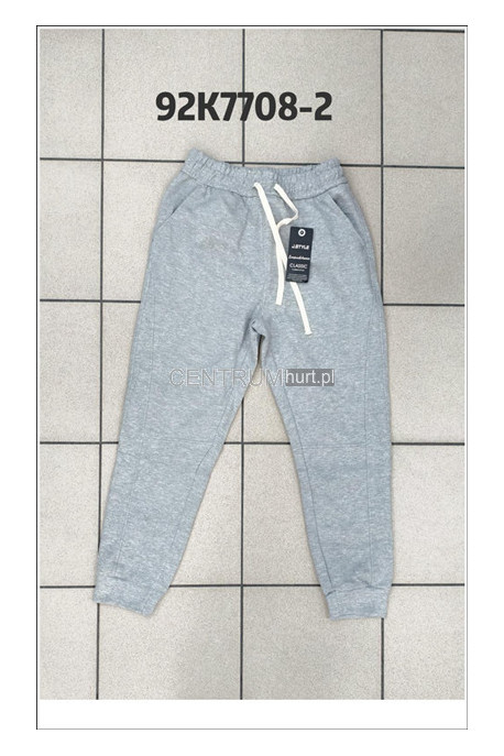 Spodnie dresowe męskie (M-2XL) 1