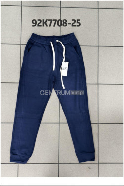 Spodnie dresowe męskie (M-2XL) 92K7708-25