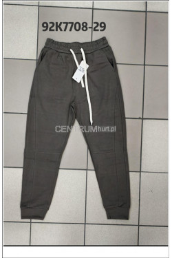 Spodnie dresowe męskie (M-2XL) 92K7708-29