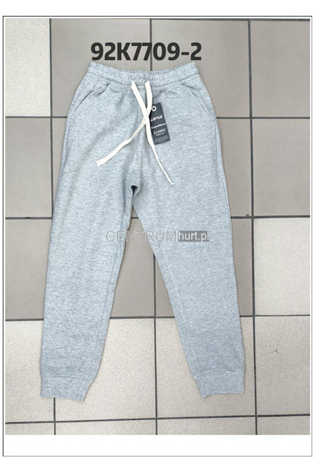 Spodnie dresowe męskie (M-2XL) 1