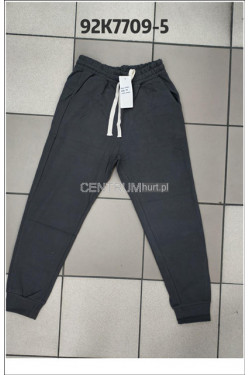 Spodnie dresowe męskie (M-2XL) 92K7709-5