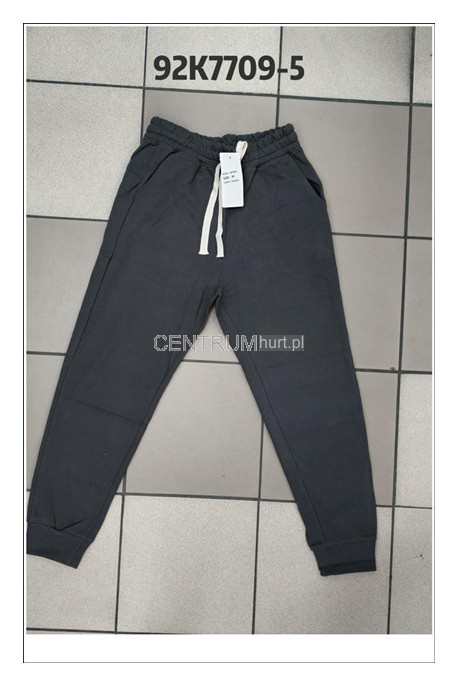 Spodnie dresowe męskie (M-2XL) 1
