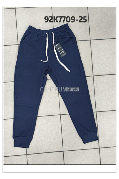 Spodnie dresowe męskie (M-2XL) 1