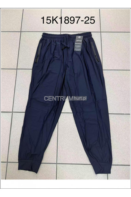 Spodnie dresowe męskie (M-2XL) 1